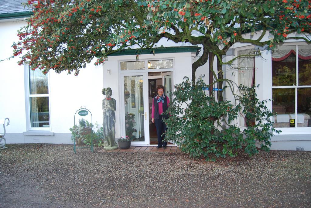 Grange Lodge Country House Dungannon Buitenkant foto