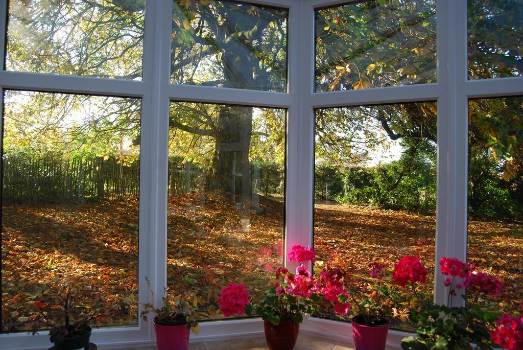 Grange Lodge Country House Dungannon Buitenkant foto